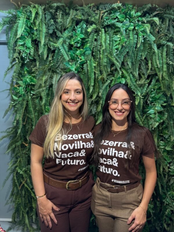Camiseta Bezerra & Novilha & Vaca & Futuro - INFANTIL - Imagem 3